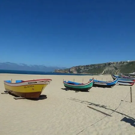 Casa de Férias Casal Riquezo T2-1.o- Serra Da Pescaria - *